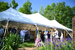 19 Company Picnic Ideas and Planning Tips