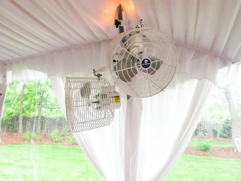 How to Cool This Summer in the Heat