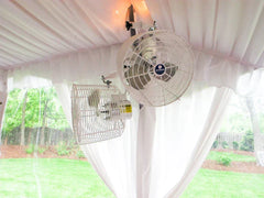How to Cool This Summer in the Heat