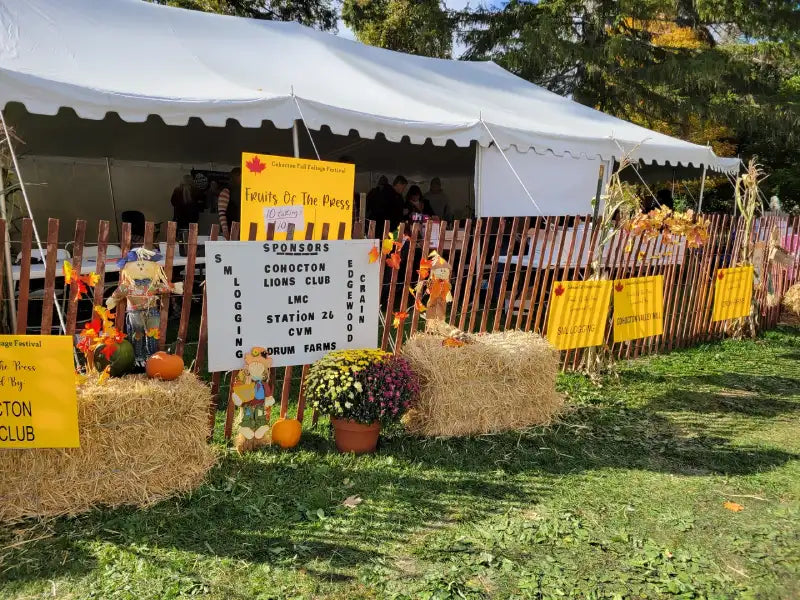 15 Fall Festival Ideas to Connect with Community
