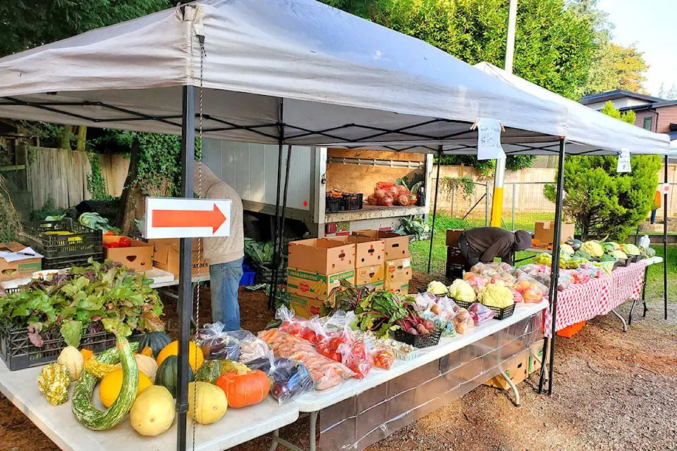 12 Farmers Market Booth Ideas to Stand Out