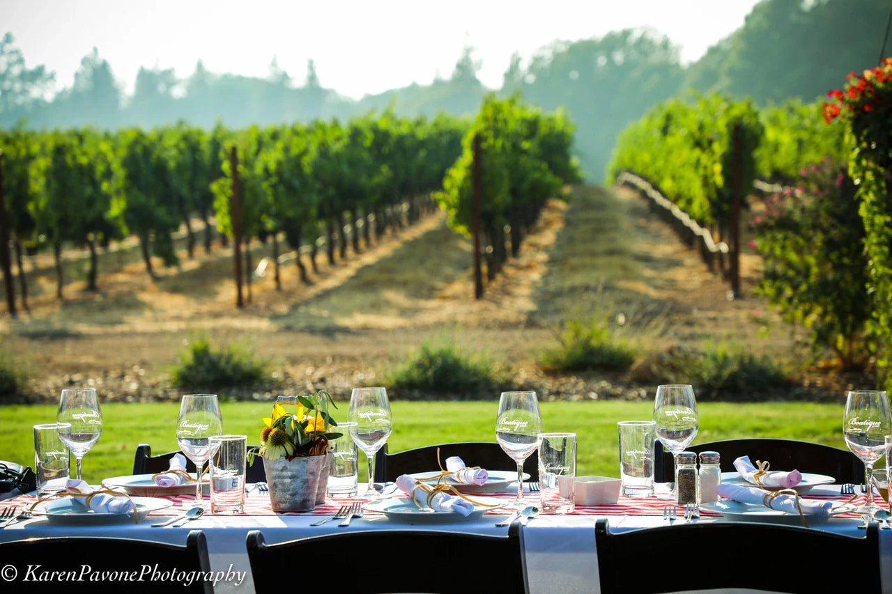 Winery Event Ideas: How to Plan Elegant and Profitable Events