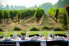 Winery Event Ideas: How to Plan Elegant and Profitable Events