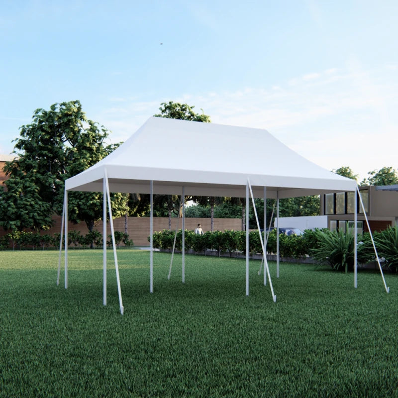 10x20 Pole Tent-2