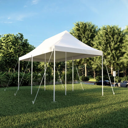 10x20 Pole Tent-3