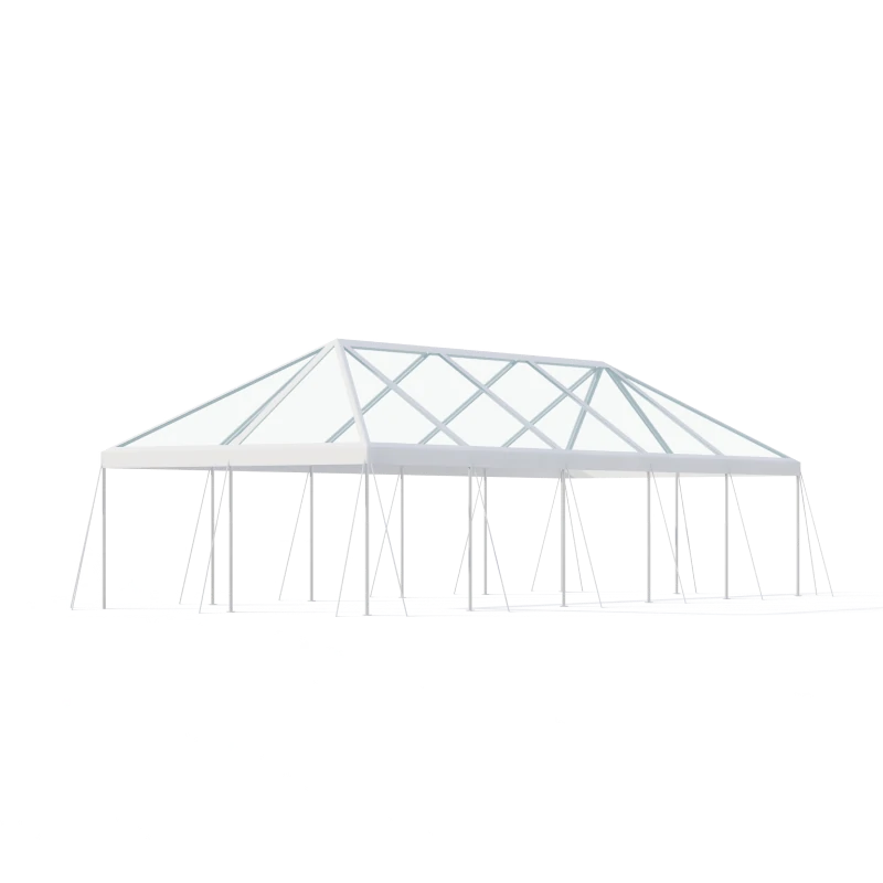 20x50 Clear Top Tent-1