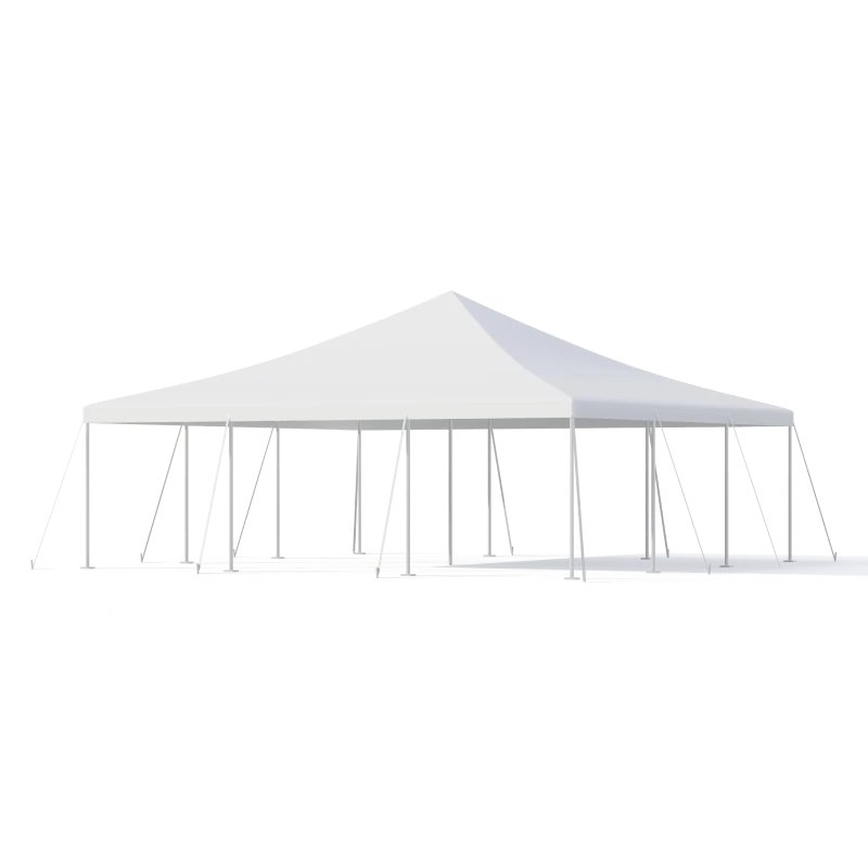 30x30 Pole Tent-1