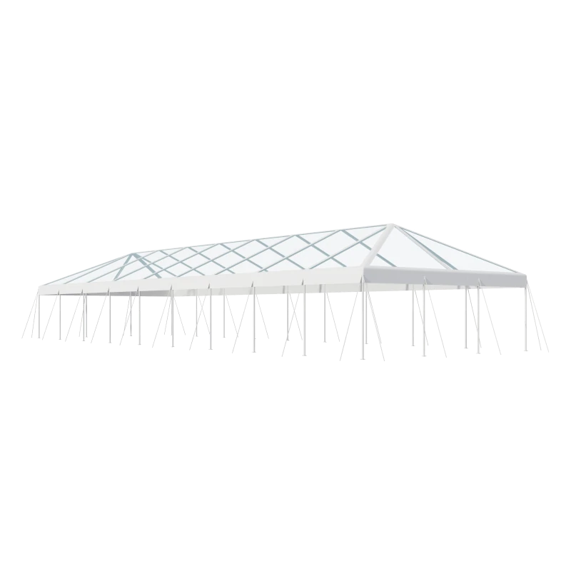 30x90 Clear Top Tent-1