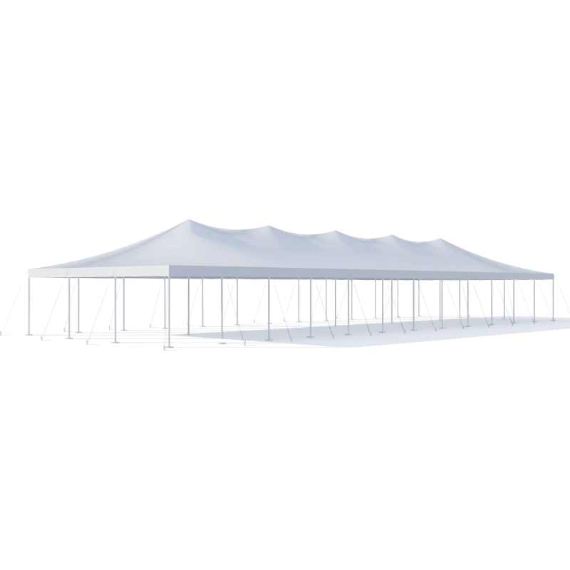 30x90 Pole Tent-1