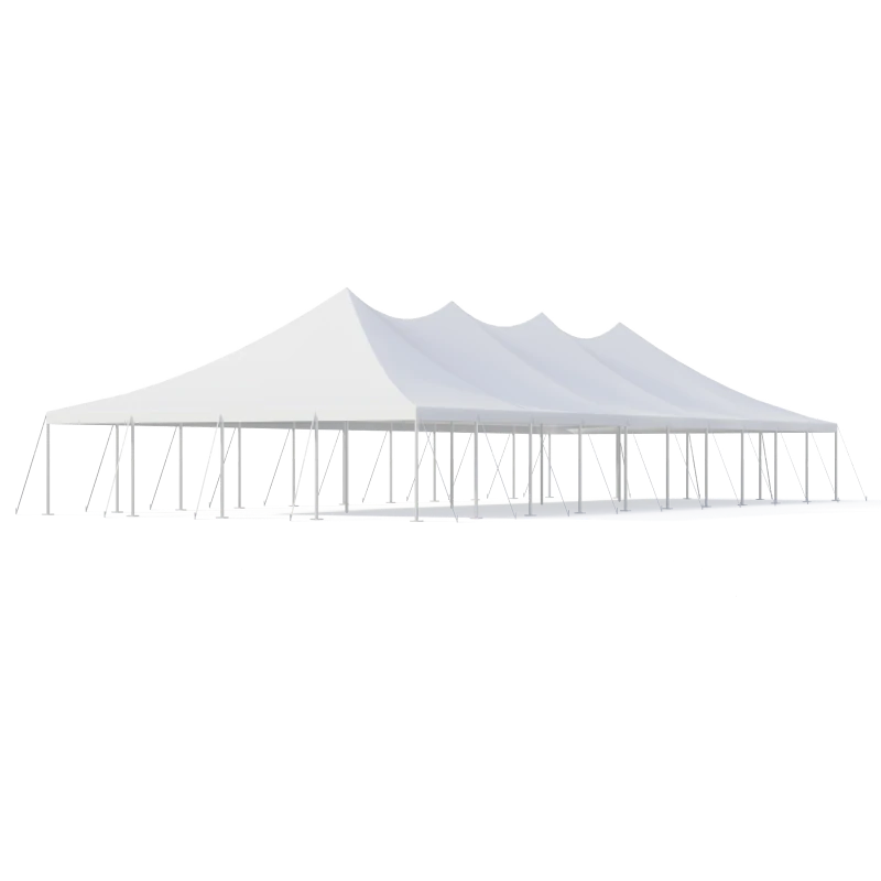 40x100 Pole Tent-1