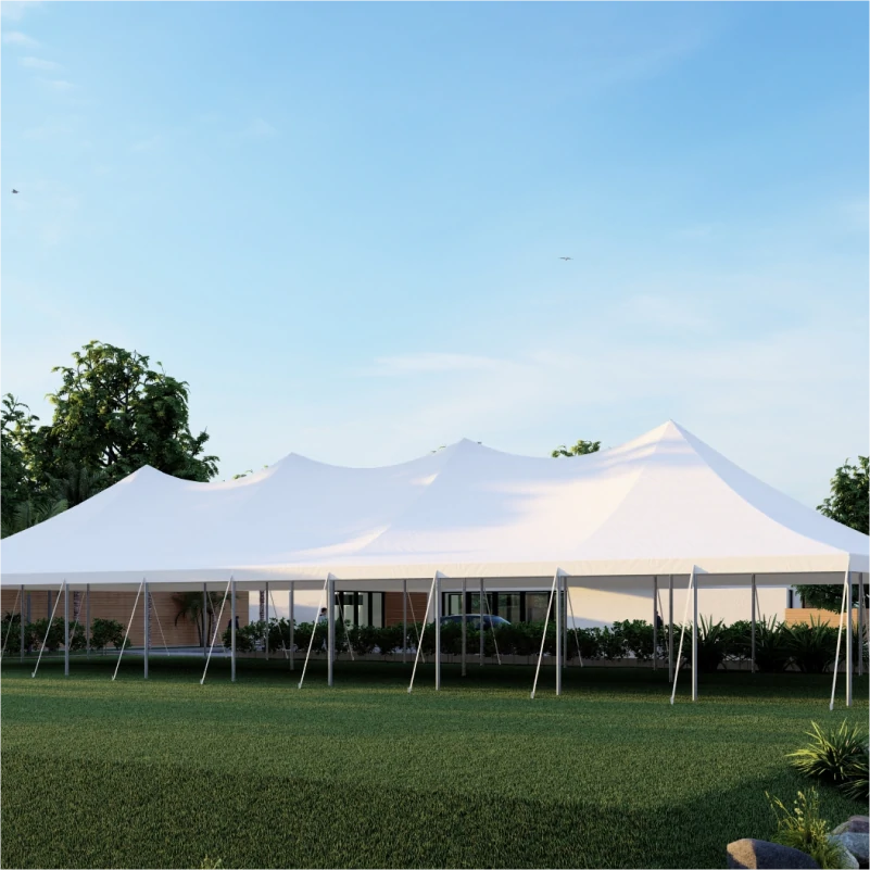 40x100 Pole Tent-2