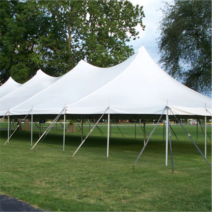 40x100 Pole Tent-4